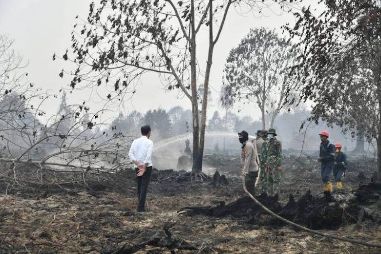 Kebakaran Hutan, Perangkat Tak Diaktifkan Maksimal
