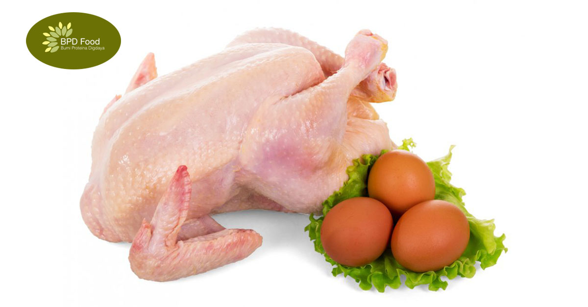 Fakta! Mengkonsumsi Daging Ayam Bisa Membantu Diet!