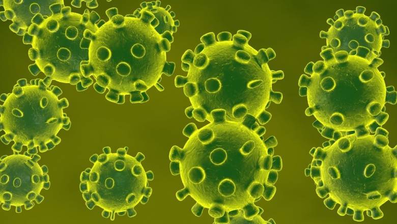 Virus Corona, Senjata Biologis Perang Dunia Kelima?