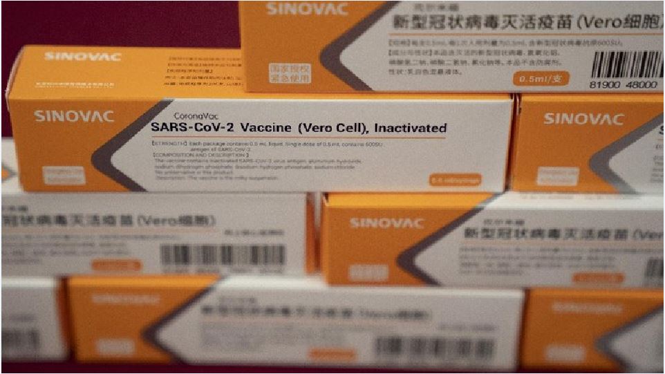 Vaksin Sinovac dari Vero Cell: Mengandung Virus Hidup yang Dilemahkan!