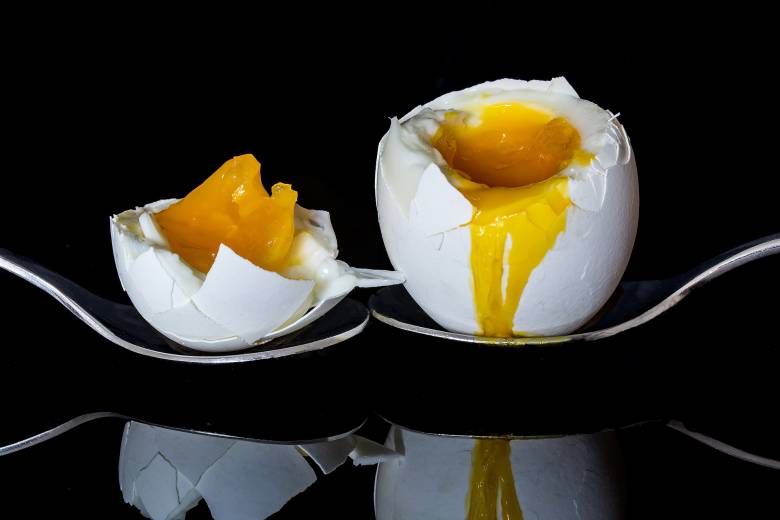 Hal Yang Harus diketahaui Sebelum Mengonsumsi Telur Organik!
