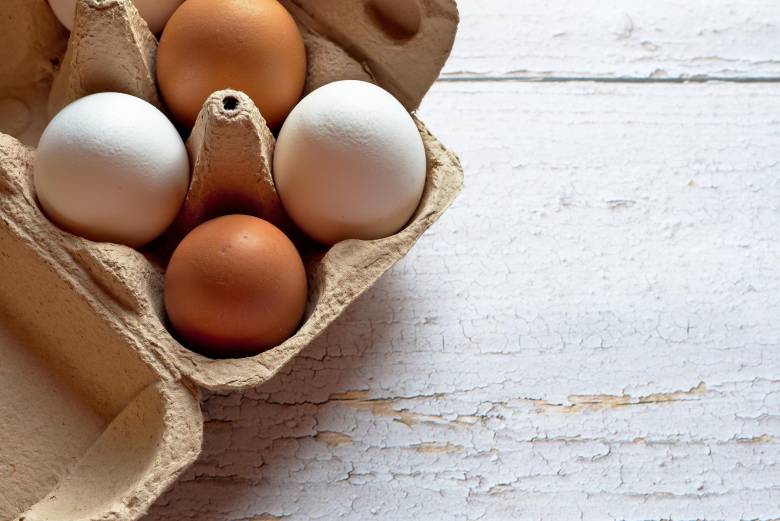 Warna Telur Cokelat dan Putih, Mengapa Berbeda?