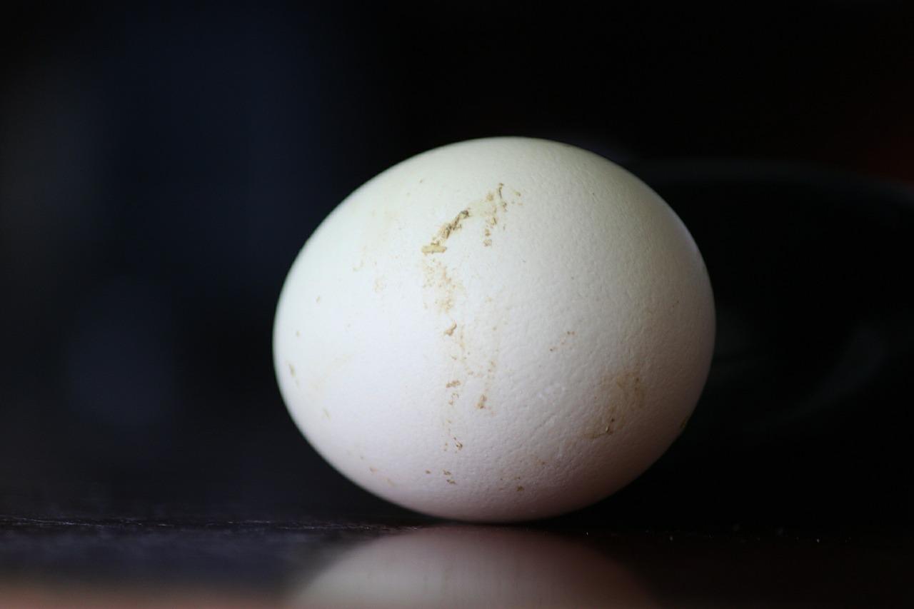 Makanan Tersehat Di Dunia Adalah Telur? Mengapa?