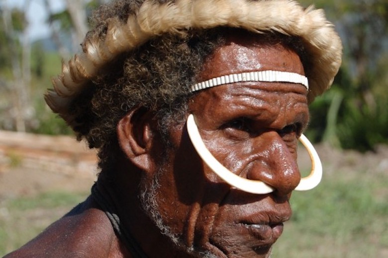 Membangunkan Raksasa di Papua
