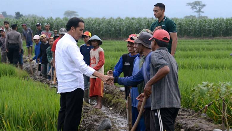 Perhutani dan Presiden Jokowi