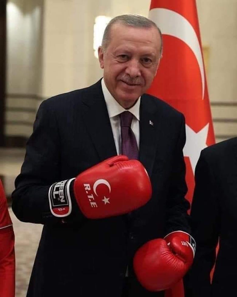 Misi Besar Erdogan, Naikkan Turki ke Level Lebih Tinggi