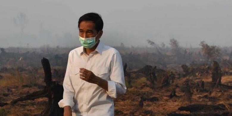 Menanti Jokowi Terpapar Asap