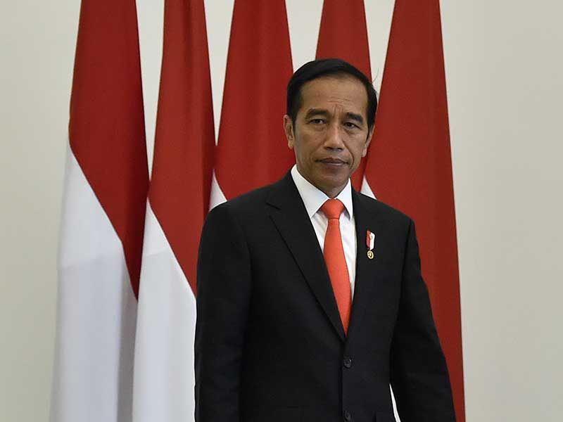 Jokowi dan Lucunya Politisi Partai di Negeri Ini