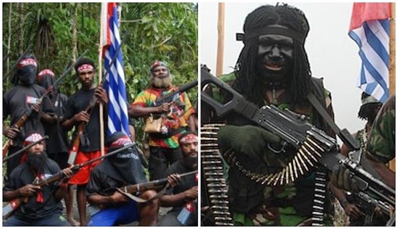 Kelompok Separatis Papua Pelanggar HAM Sebenarnya