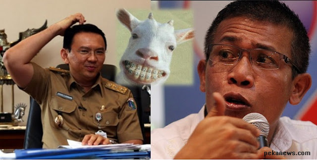 PDIP Usung "Kambing Dibedaki" sebagai Calon Gubernur Jakarta?