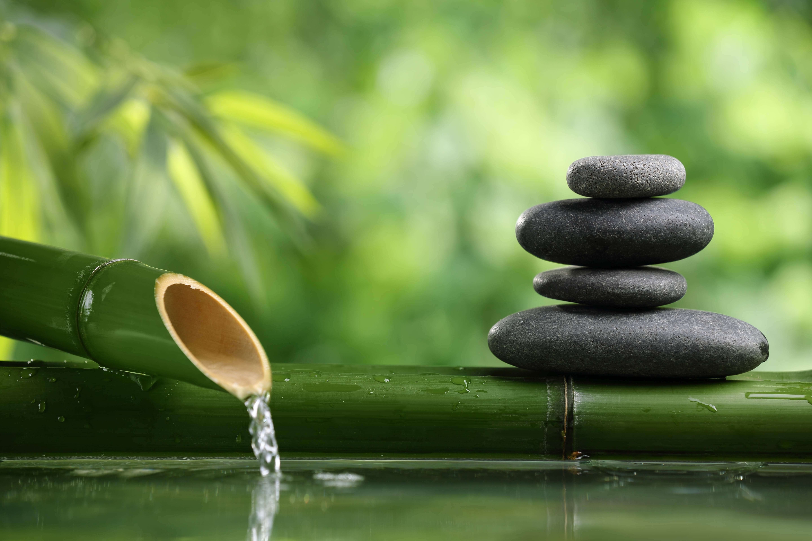 Dua Aliran Berpikir Kuno, Stoa dan Zen untuk Hidup Kita