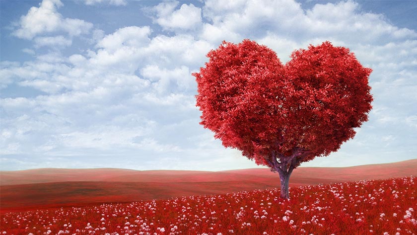 Hari Kasih Sayang, Jangan Terbelenggu Urusan Mabuk Kepayang