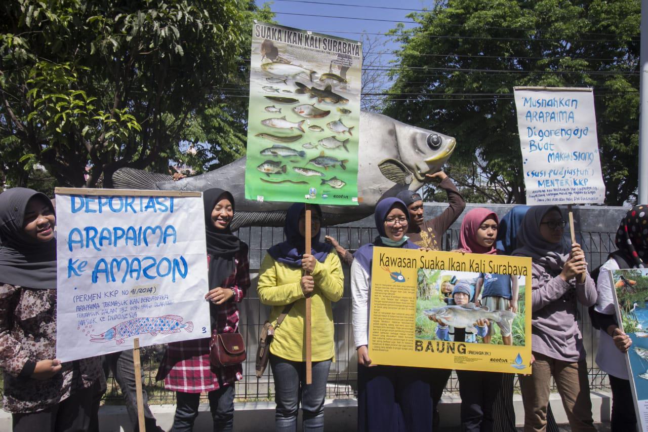 Ecoton: Proses Hukum Penebar Ikan Arapaima di Sungai Brantas!