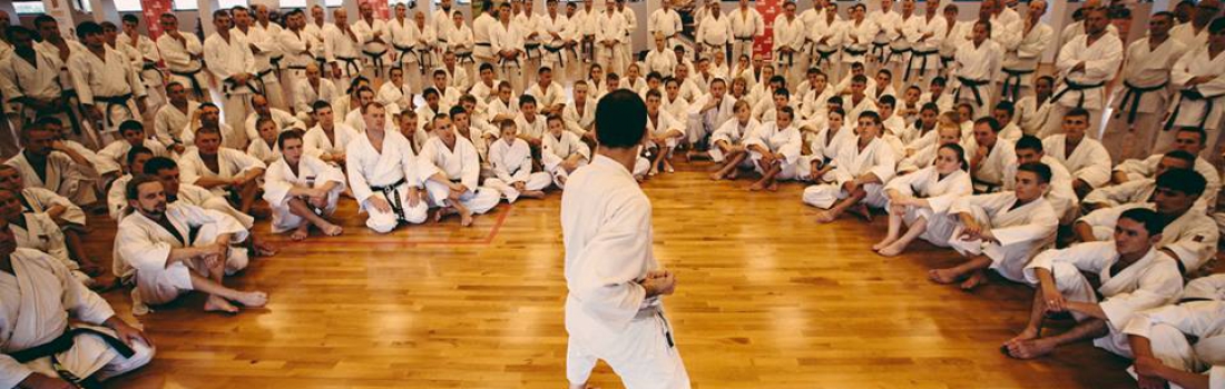 Tradisi Karate (3): Belajarlah dari Taekwondo dan Badminton